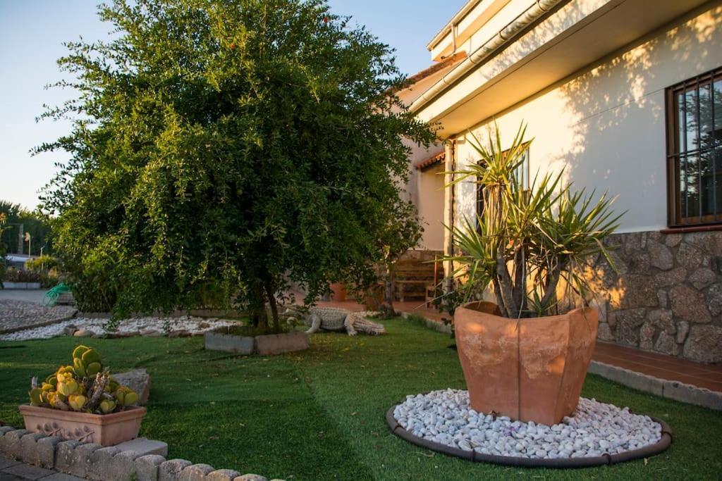 Casa Rural El Zarzoso Tr-Cc-00562 Coria Exterior foto